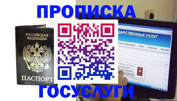 прописка гарантия в Тынде
